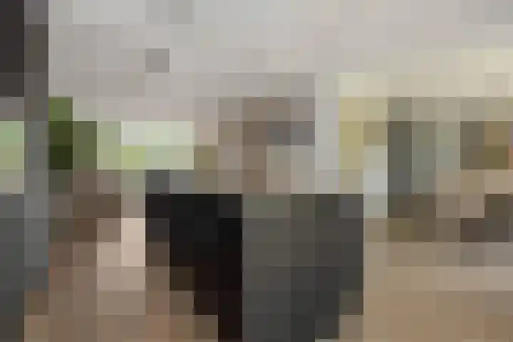 Spaanse Matplein 21 's-Hertogenbosch thumbnail 10