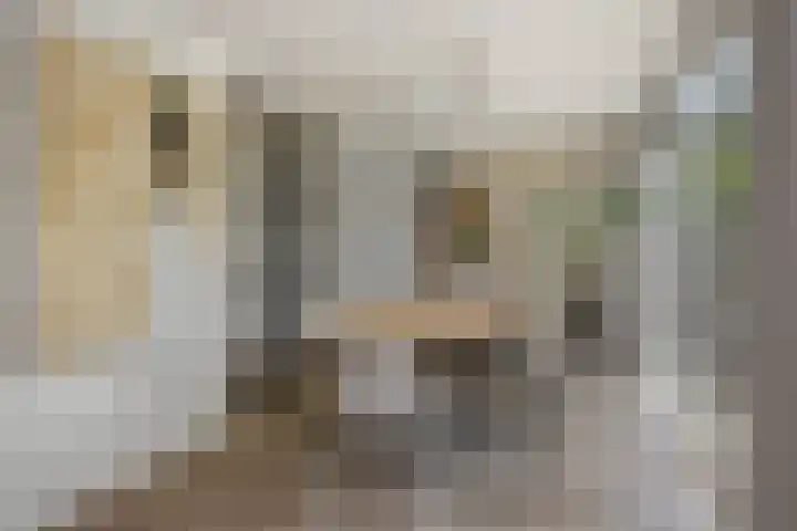 Spaanse Matplein 21 's-Hertogenbosch thumbnail 12