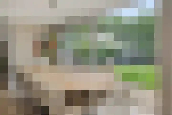 Spaanse Matplein 21 's-Hertogenbosch thumbnail 13