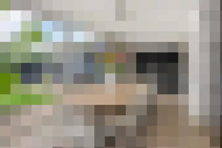 Spaanse Matplein 21 's-Hertogenbosch thumbnail 14