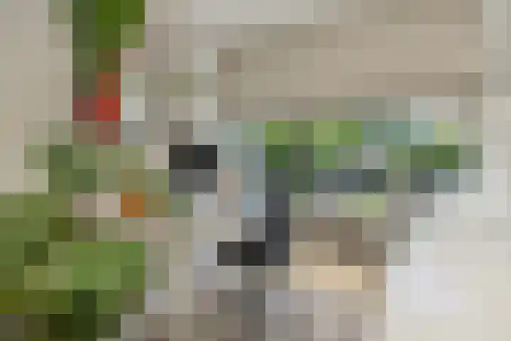 Spaanse Matplein 21 's-Hertogenbosch thumbnail 16
