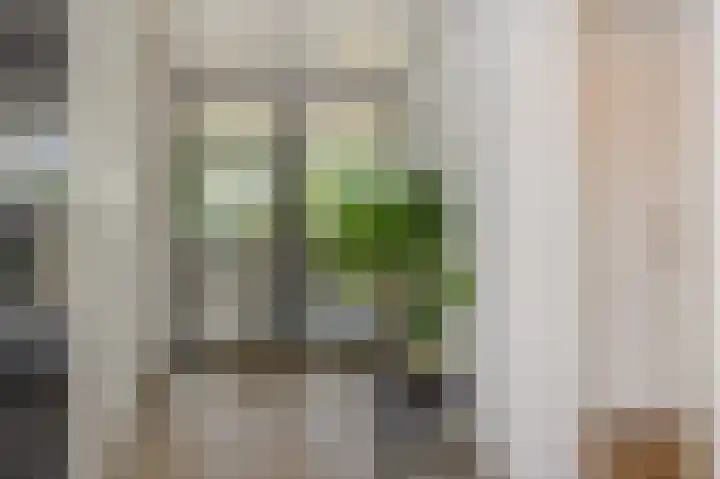 Spaanse Matplein 21 's-Hertogenbosch thumbnail 18