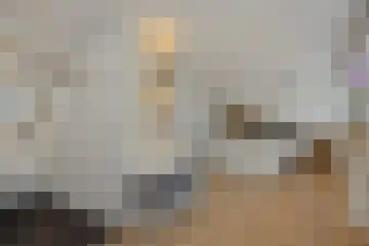 Spaanse Matplein 21 's-Hertogenbosch thumbnail 23