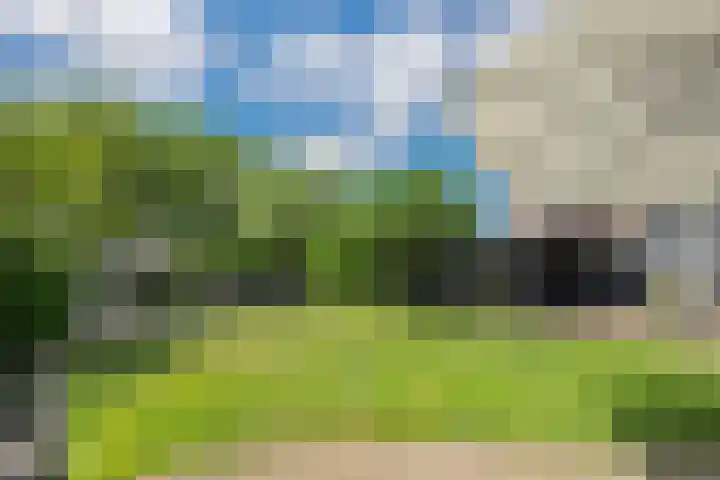 Spaanse Matplein 21 's-Hertogenbosch thumbnail 27