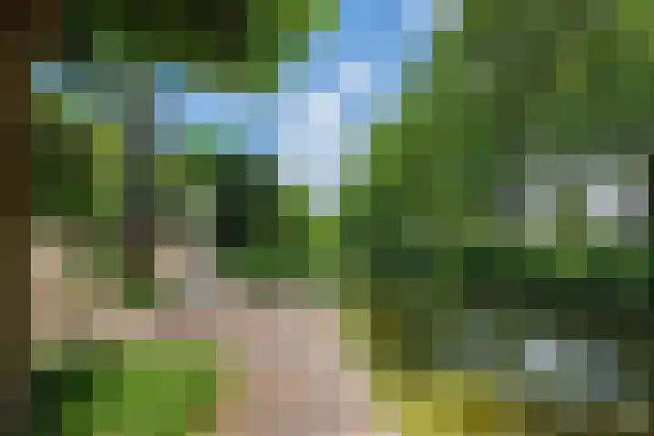 Spaanse Matplein 21 's-Hertogenbosch thumbnail 33