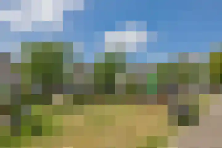 Spaanse Matplein 21 's-Hertogenbosch thumbnail 35