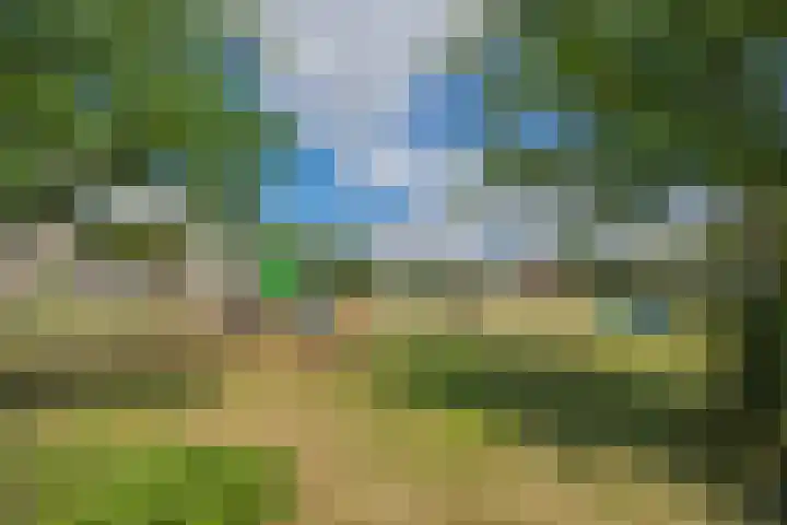 Spaanse Matplein 21 's-Hertogenbosch thumbnail 36
