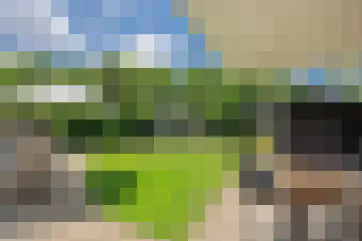 Spaanse Matplein 21 's-Hertogenbosch thumbnail 4