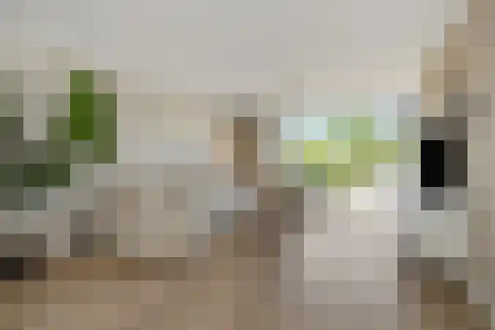 Spaanse Matplein 21 's-Hertogenbosch thumbnail 5