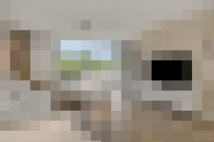 Spaanse Matplein 21 's-Hertogenbosch thumbnail 6