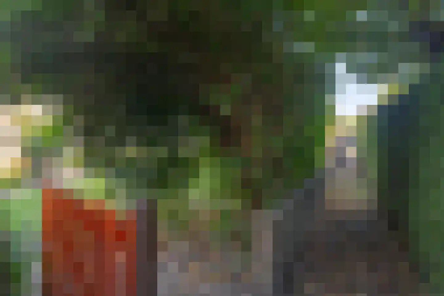 Spaansesingel 18 Beek thumbnail 27