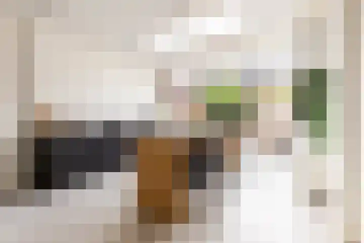 Spaansevaartstraat 18 Haarlem thumbnail 16