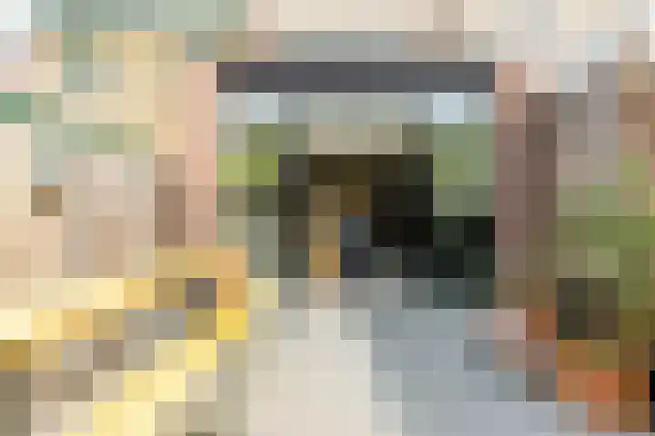 Spaansevaartstraat 18 Haarlem thumbnail 20