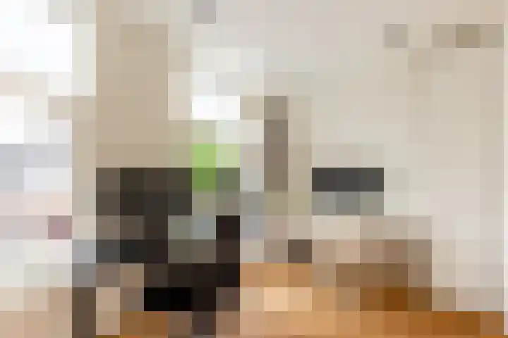 Spaansevaartstraat 18 Haarlem thumbnail 25