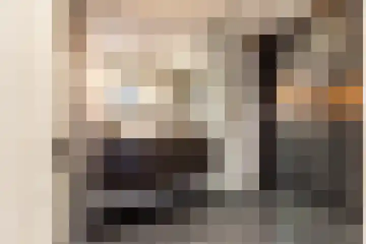 Spaansevaartstraat 18 Haarlem thumbnail 26