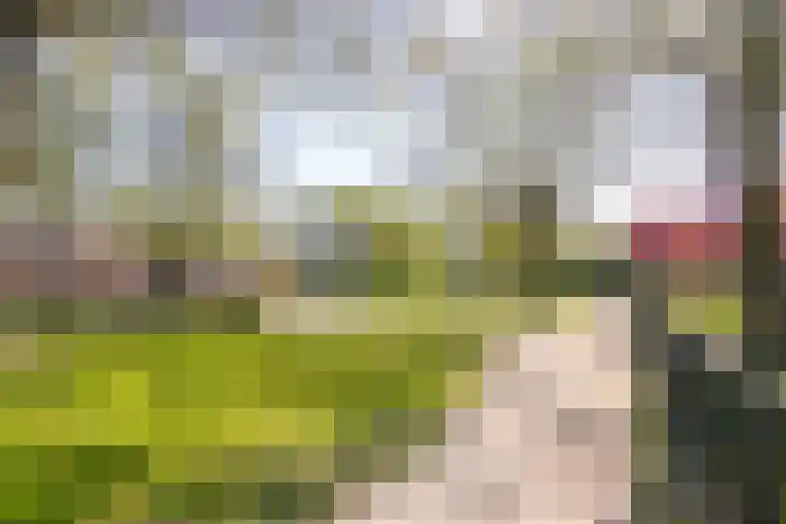 Spaansevaartstraat 18 Haarlem thumbnail 36