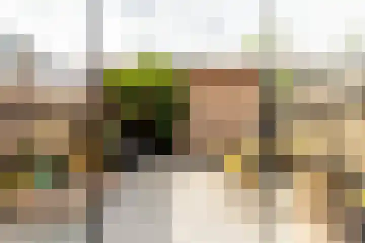 Spaansevaartstraat 18 Haarlem thumbnail 5