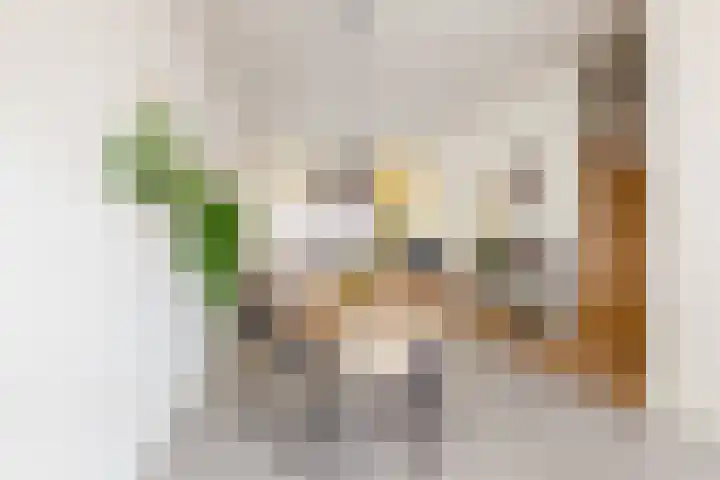 Spaansevaartstraat 18 Haarlem thumbnail 8