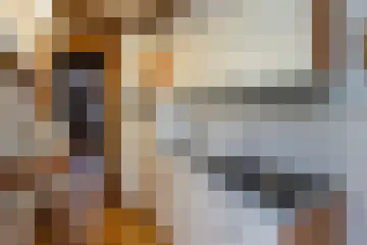 Spaansevaartstraat 19 Haarlem thumbnail 20
