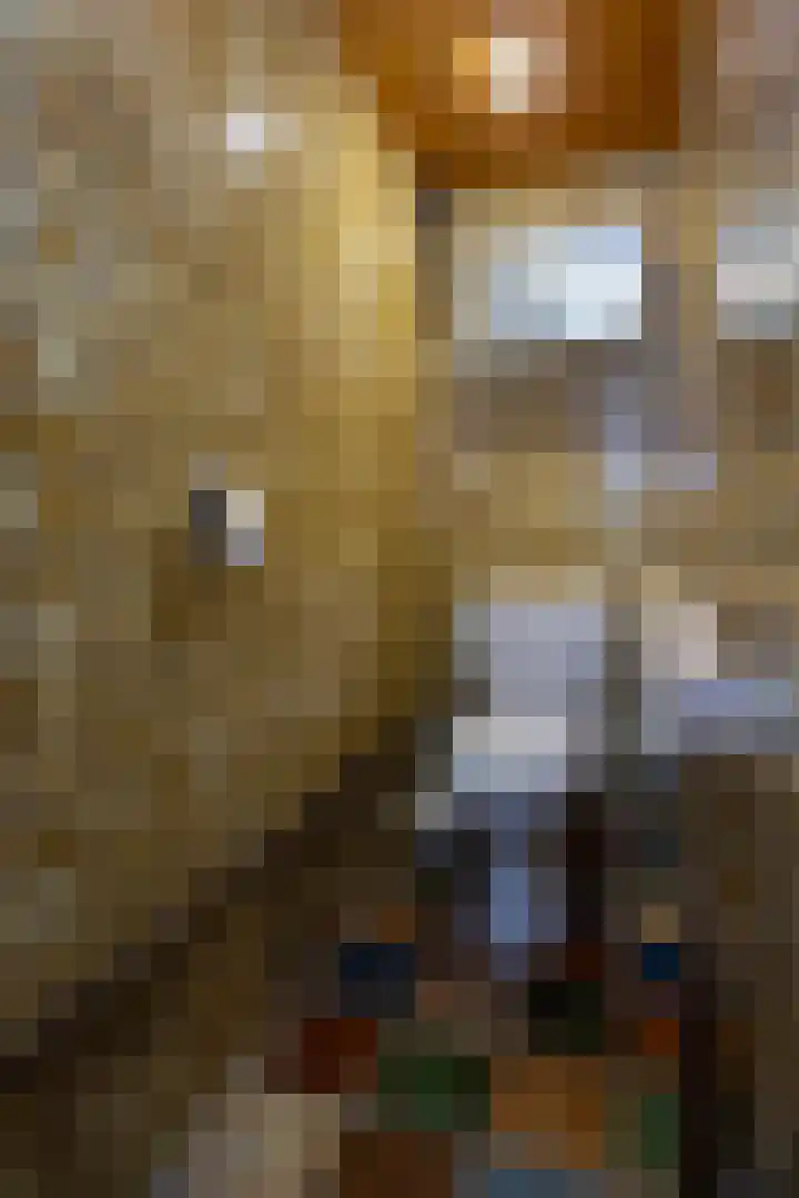 Spaansevaartstraat 19 Haarlem thumbnail 21
