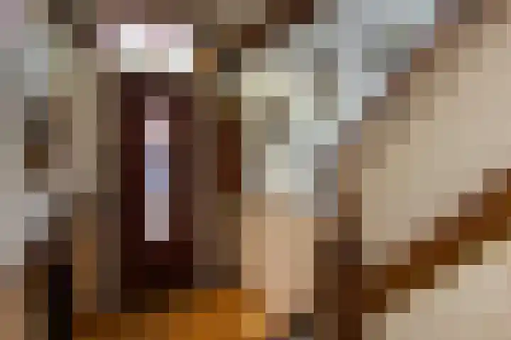 Spaansevaartstraat 19 Haarlem thumbnail 26