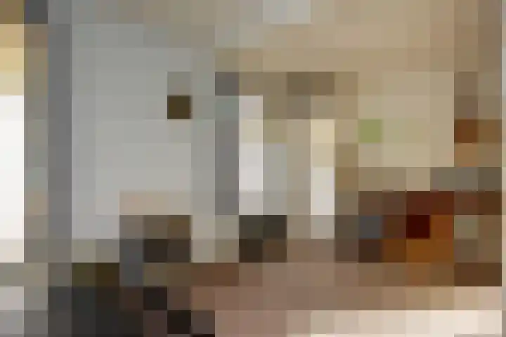 Spaansevaartstraat 19 Haarlem thumbnail 33