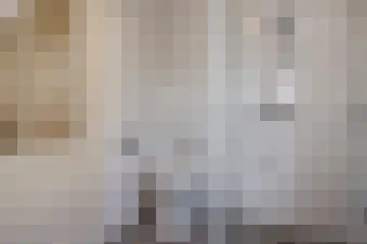 Spaansevaartstraat 19 Haarlem thumbnail 38