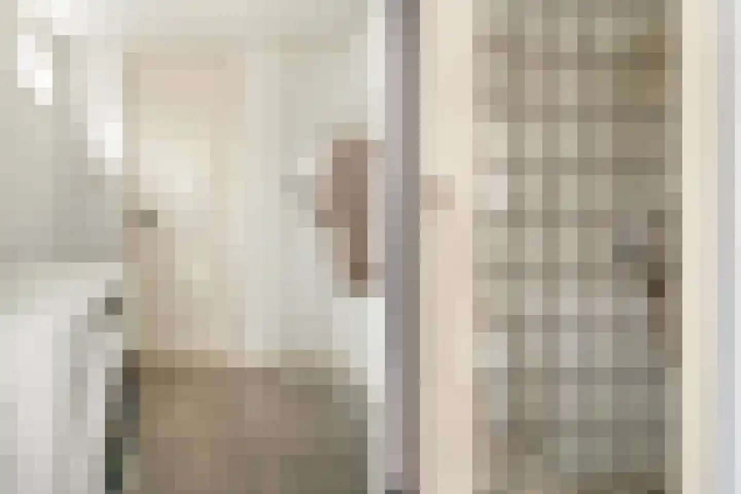 Spaansevaartstraat 3 Haarlem thumbnail 20