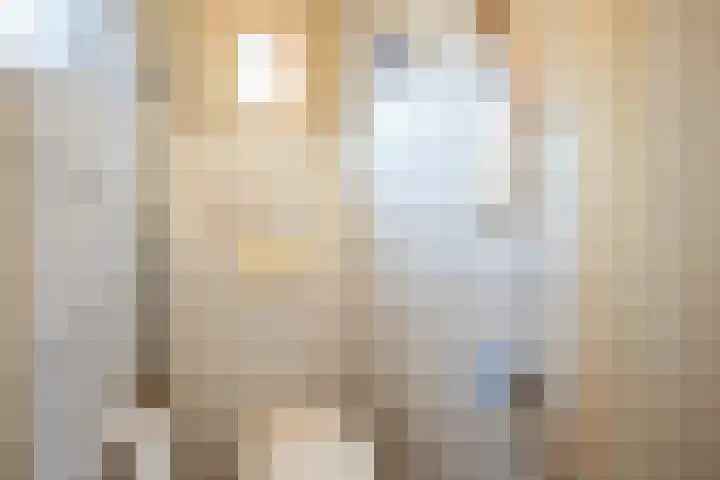 Spaansevaartstraat 39 Haarlem thumbnail 10