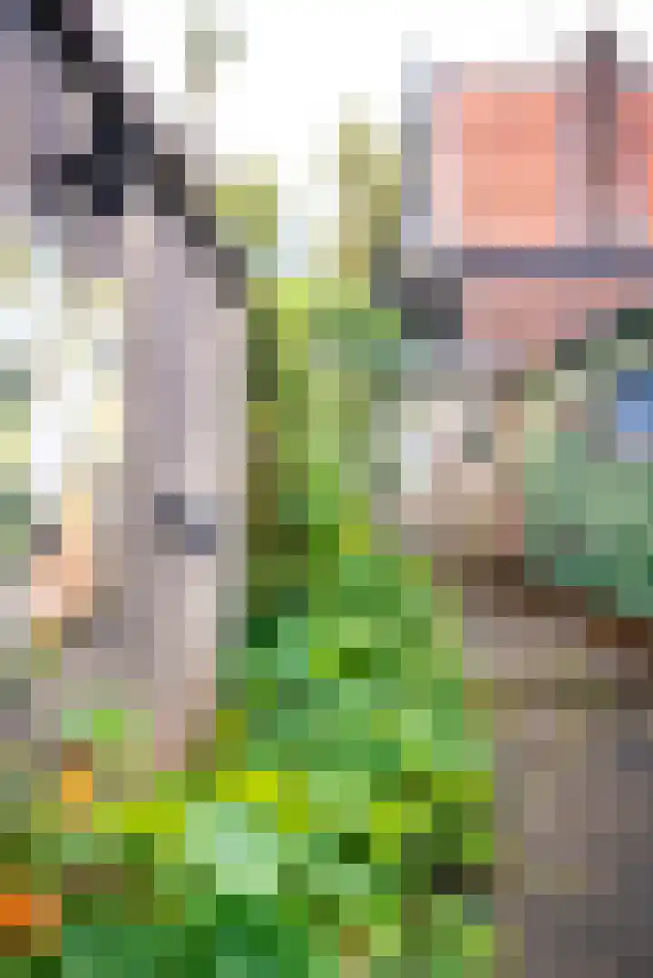 Spaansevaartstraat 39 Haarlem thumbnail 12