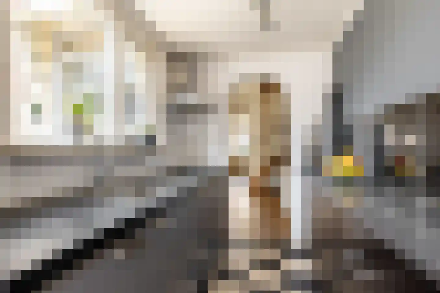 Spaansevaartstraat 46 Haarlem thumbnail 11