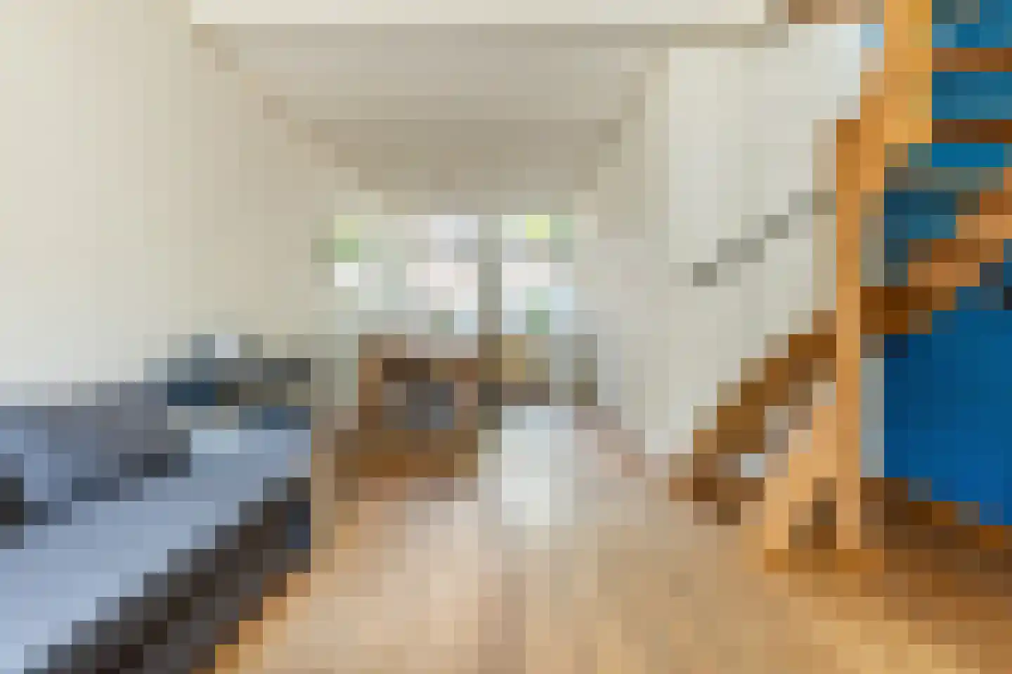 Spaansevaartstraat 46 Haarlem thumbnail 13