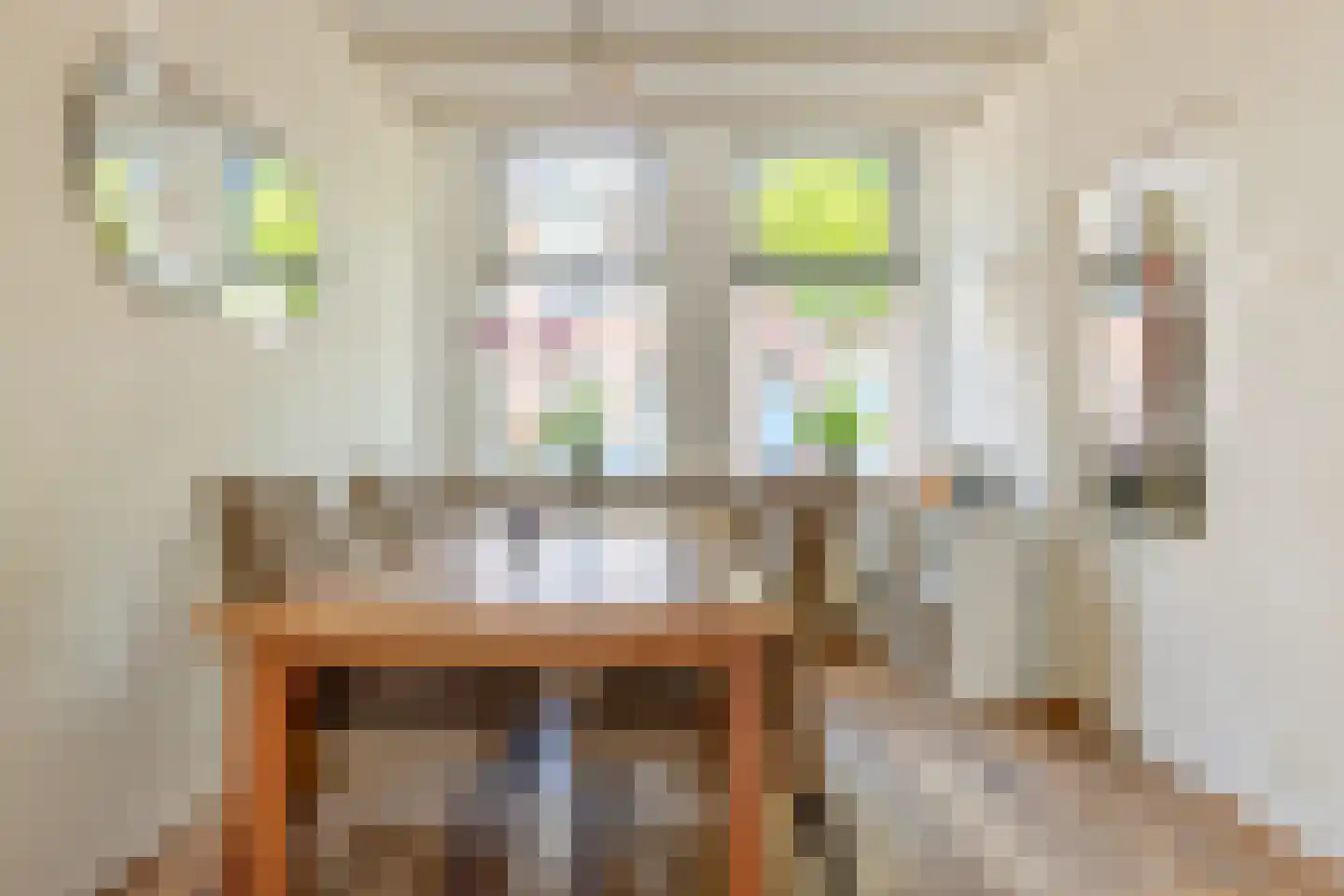 Spaansevaartstraat 46 Haarlem thumbnail 15