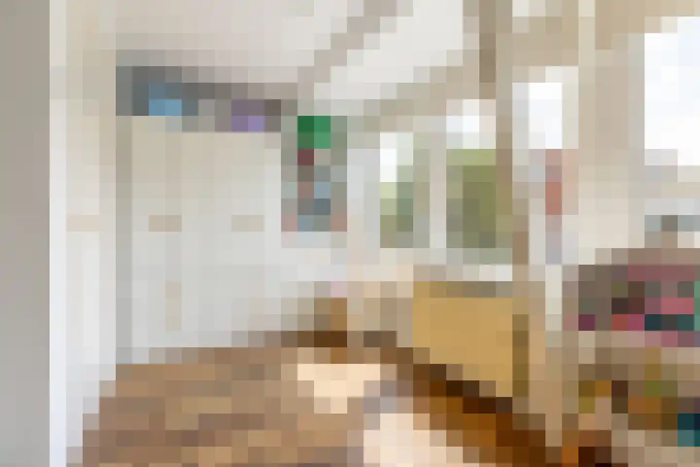 Spaansevaartstraat 46 Haarlem thumbnail 25