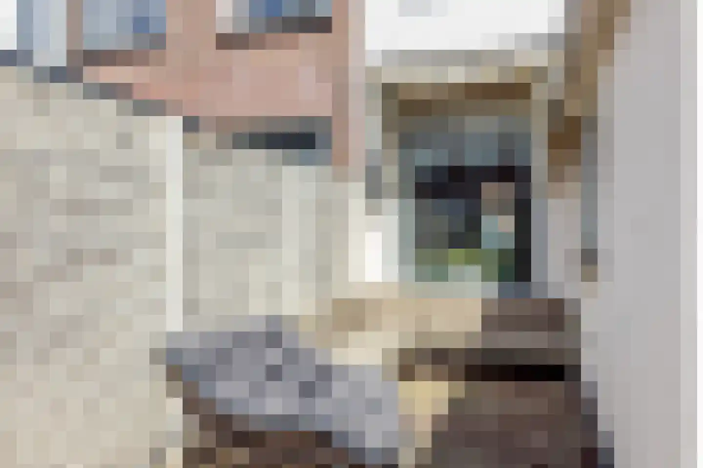 Spaansevaartstraat 46 Haarlem thumbnail 28