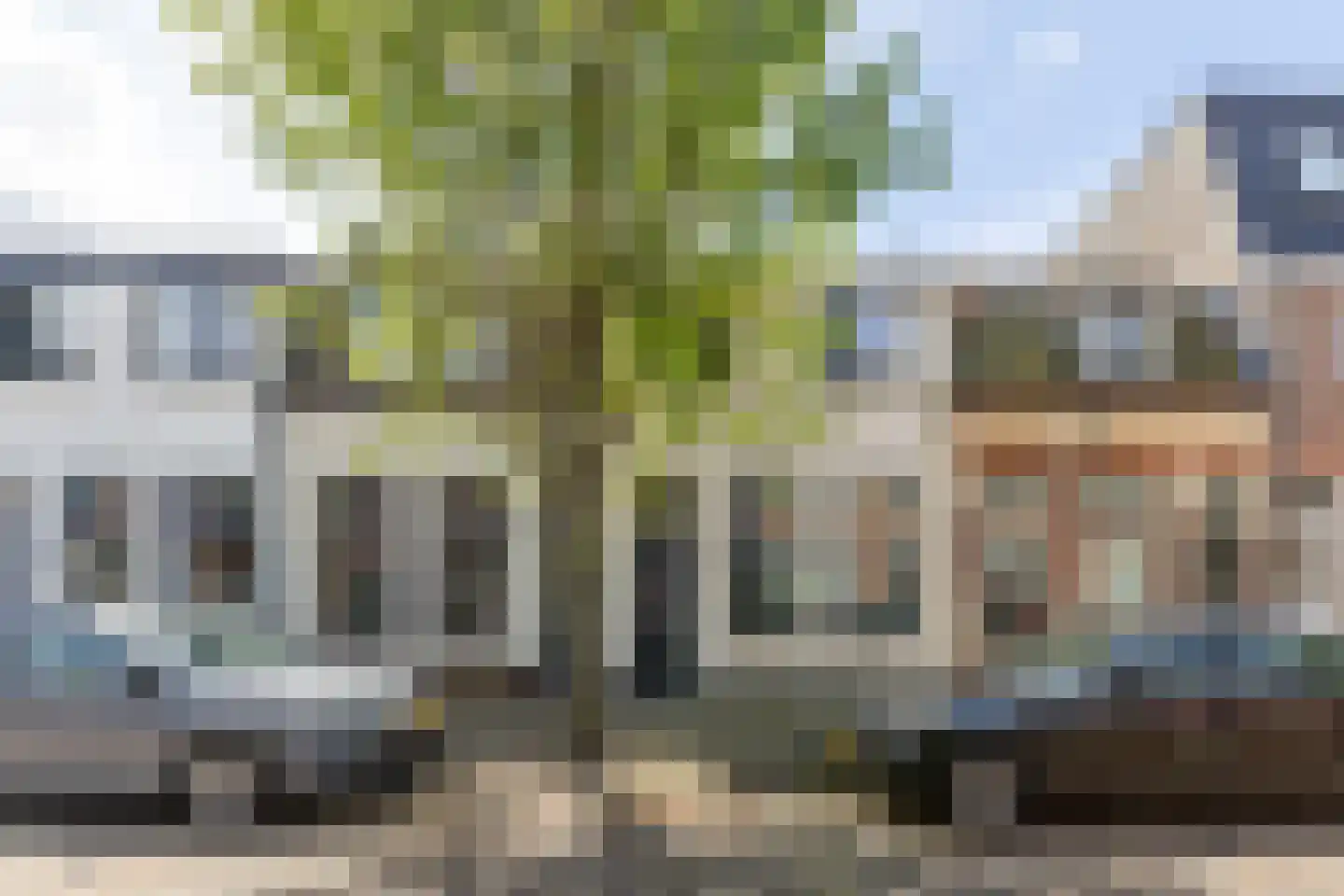 Spaansevaartstraat 46 Haarlem thumbnail 5
