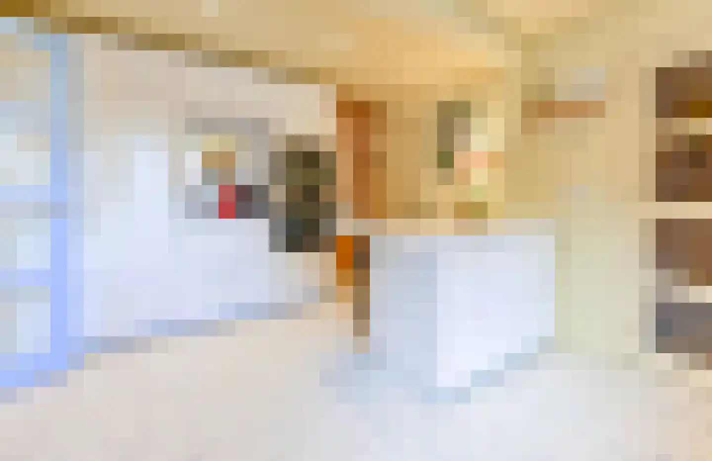 Spaansevaartstraat 55 Haarlem thumbnail 16