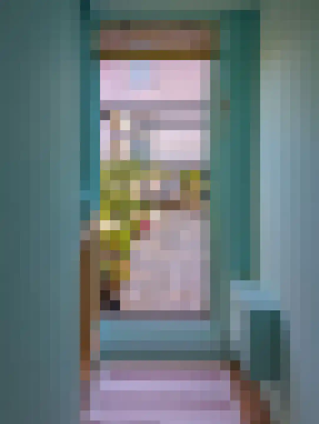 Spaansevaartstraat 55 Haarlem thumbnail 37