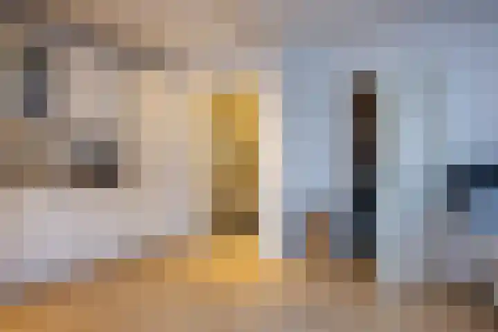 Spaansevaartstraat 9 Haarlem thumbnail 14