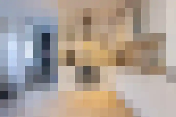 Spaansevaartstraat 9 Haarlem thumbnail 17