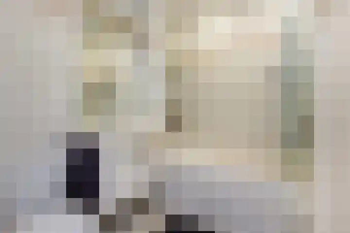 Spaansevaartstraat 9 Haarlem thumbnail 18