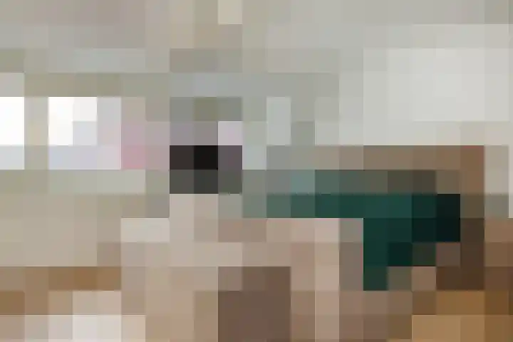 Spaansevaartstraat 9 Haarlem thumbnail 20