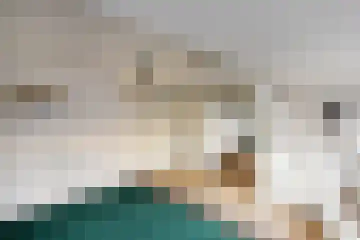 Spaansevaartstraat 9 Haarlem thumbnail 22