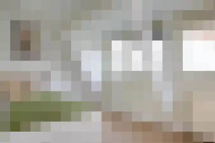 Spaansevaartstraat 9 Haarlem thumbnail 26