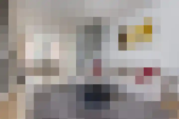 Spaansevaartstraat 9 Haarlem thumbnail 8