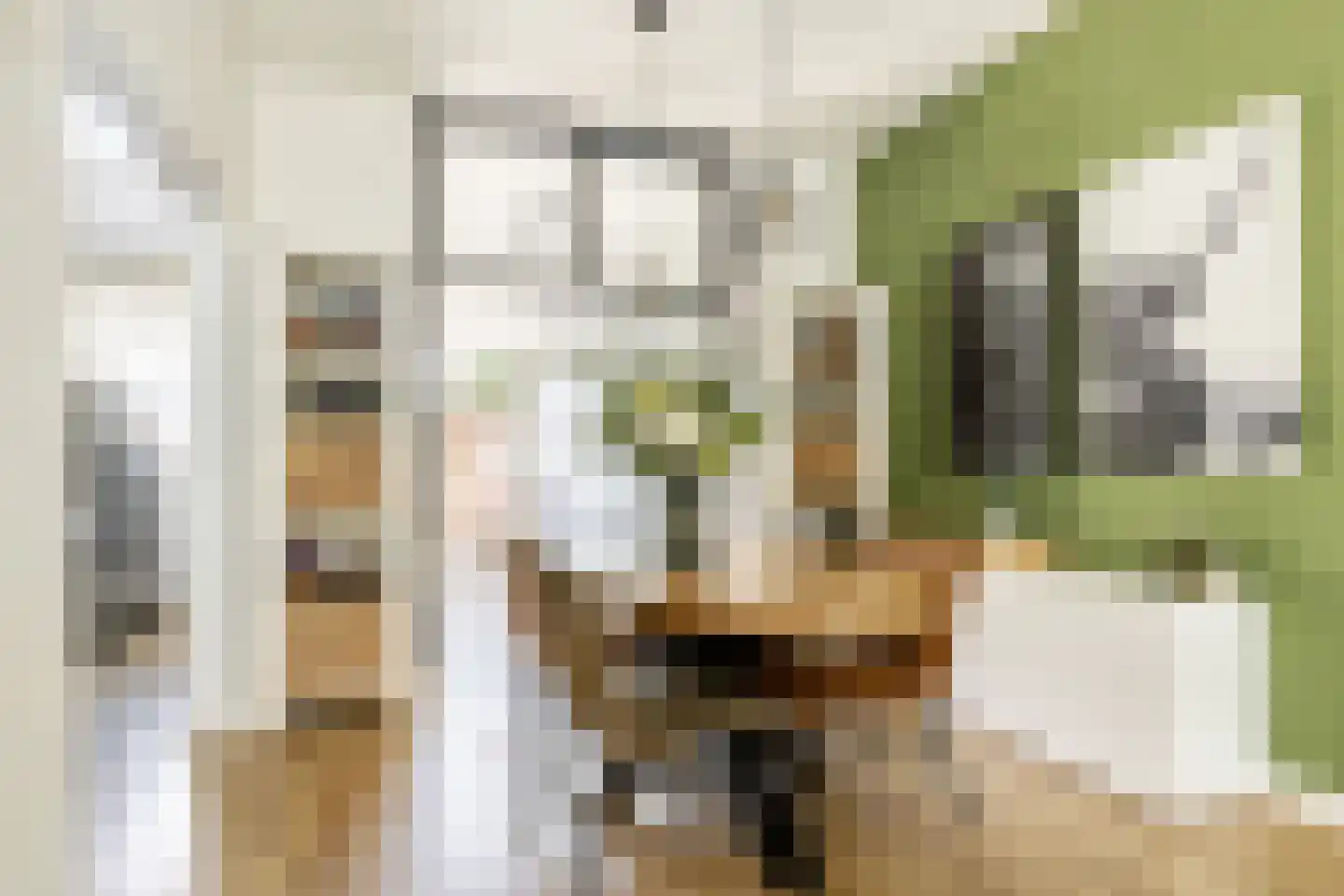 Spaansevaartstraat 97 Haarlem thumbnail 4