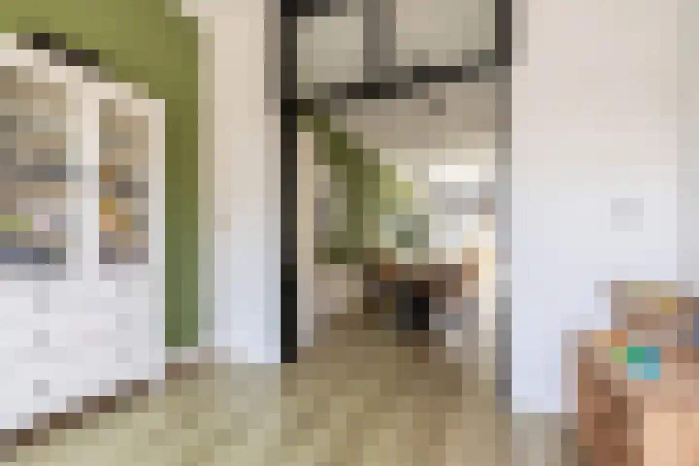 Spaansevaartstraat 97 Haarlem thumbnail 7