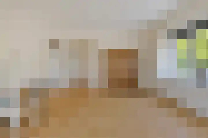 Spaansgroenstraat 12 Zaandam thumbnail 11