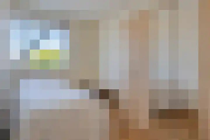 Spaansgroenstraat 12 Zaandam thumbnail 21