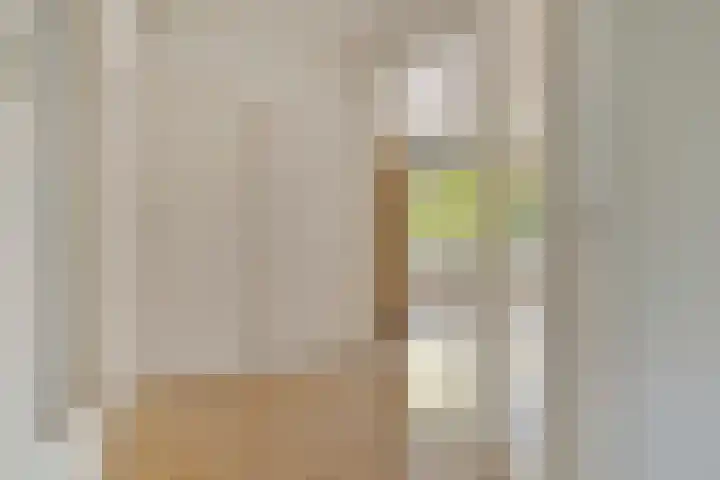Spaansgroenstraat 12 Zaandam thumbnail 8